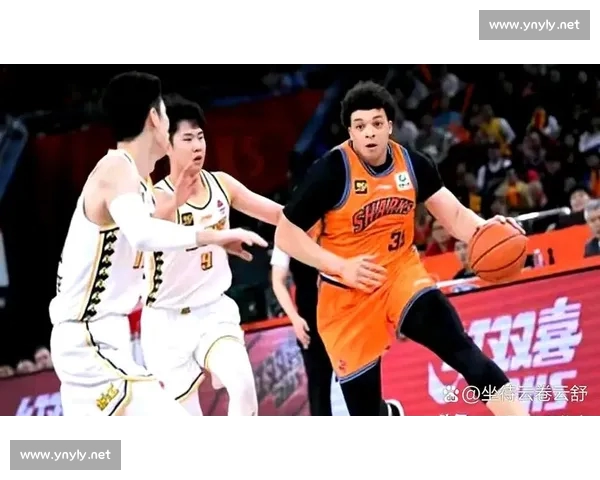 CBA直播APP免费下载畅享精彩赛事高清直播全程实时更新